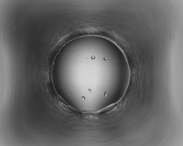 X0000115811205200911201411