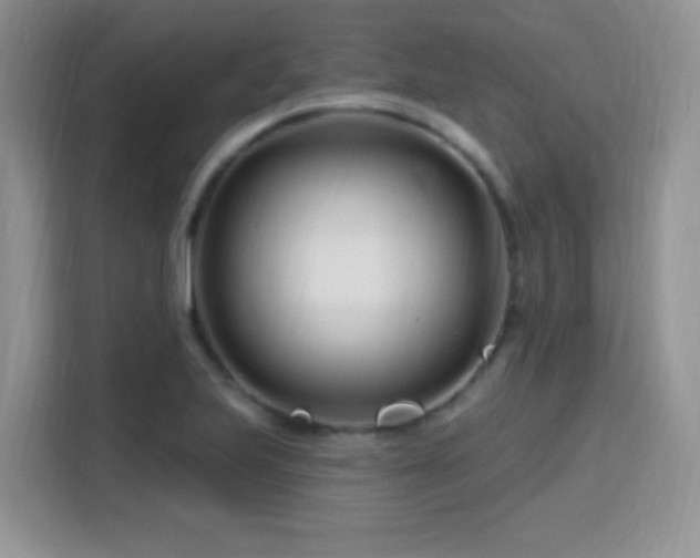 X0000115811223200911201411