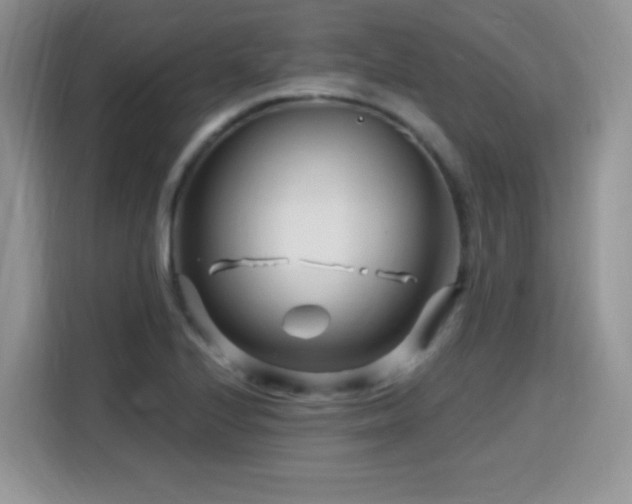 X0000115811224200911201411