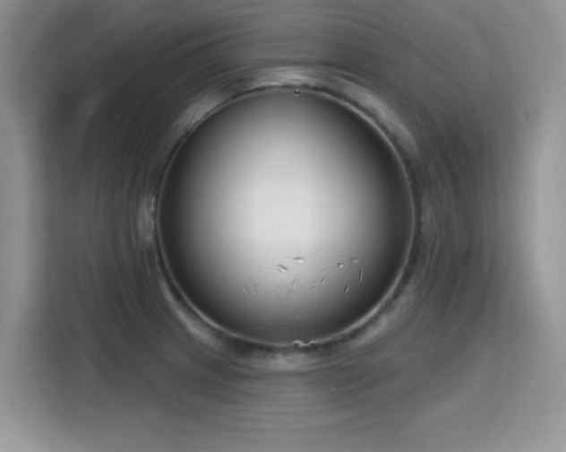 X0000115811233200911201412