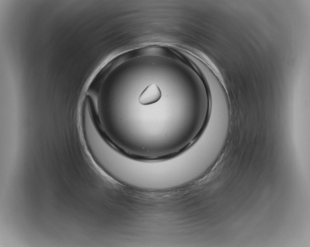 X0000115811243200911201412