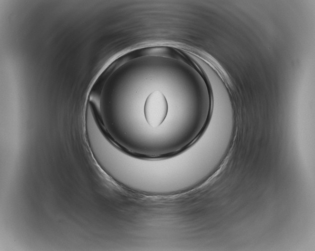 X0000115811244200911201412