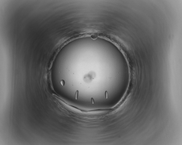 X0000115811257200911201411