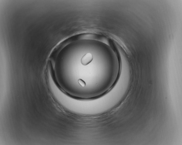 X0000115811260200911201411