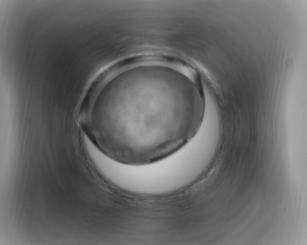 X0000115811267200911201411