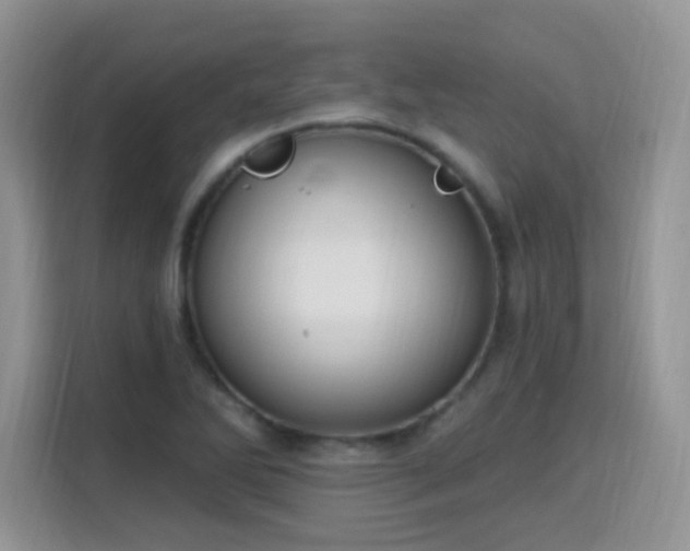 X0000115811270200911201411