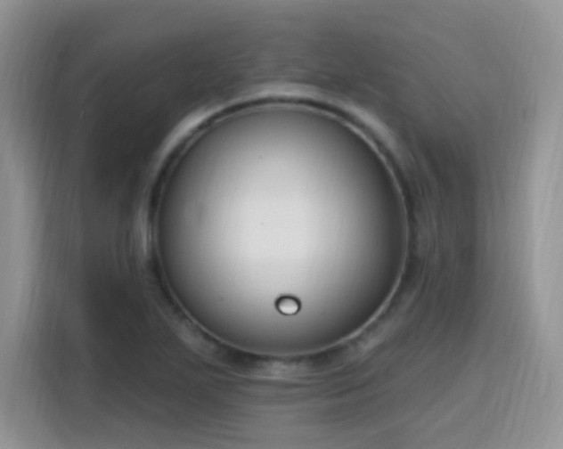 X0000115811271200911201411