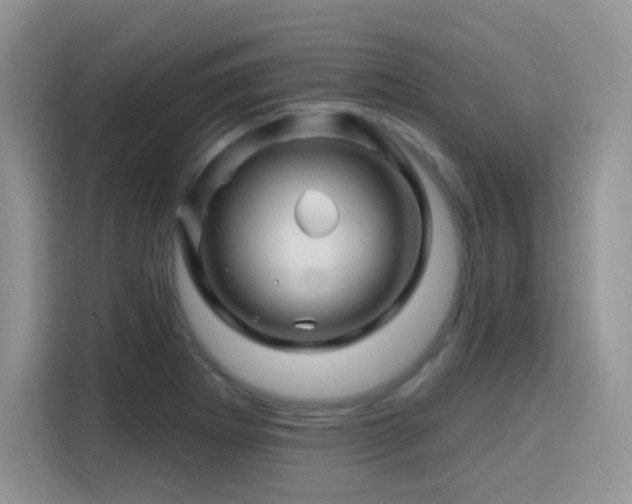 X0000115811273200911201411