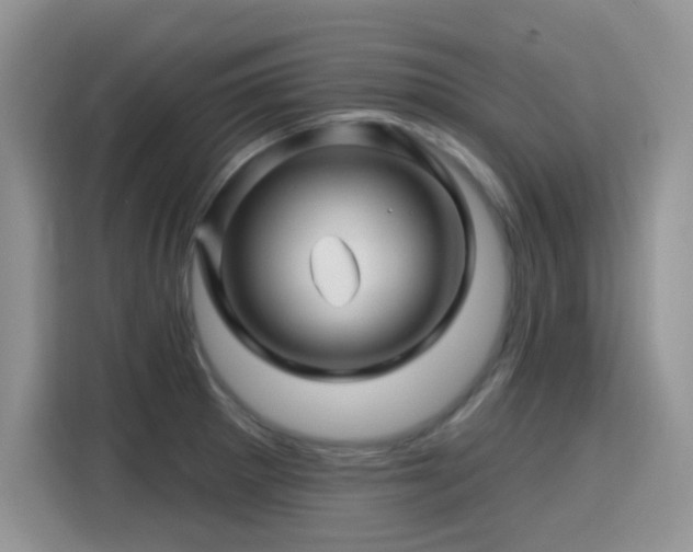 X0000115811281200911201411