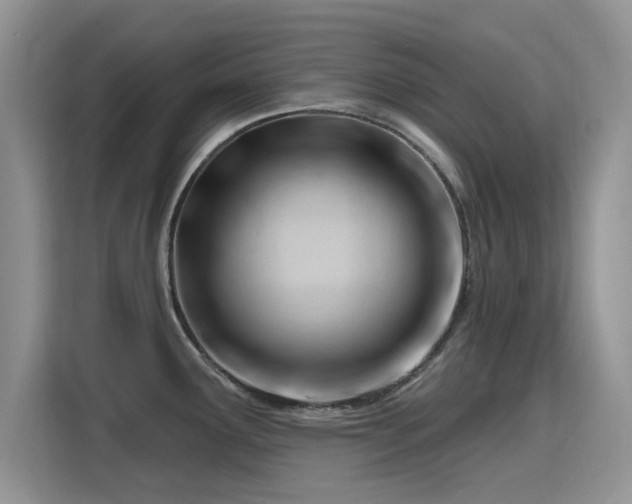 X0000115811291200911201411