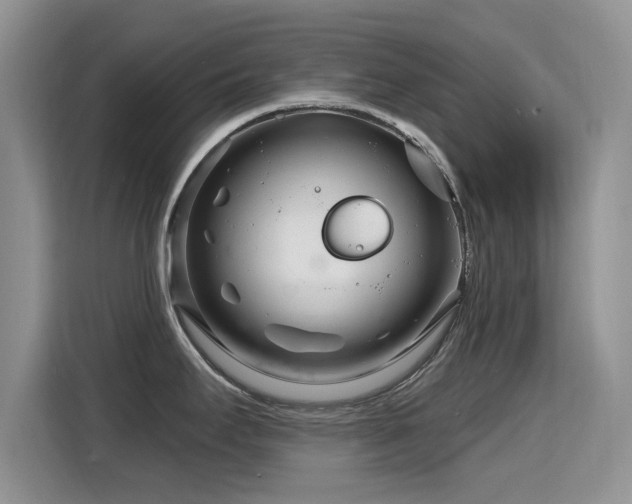 X0000115811295200911201411
