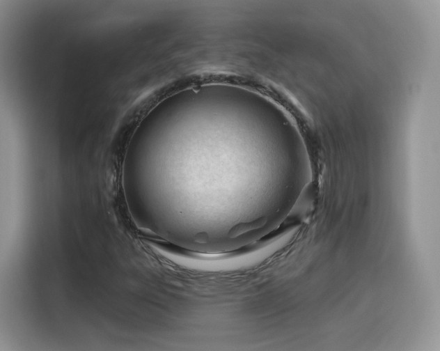 X0000115811303200911201410