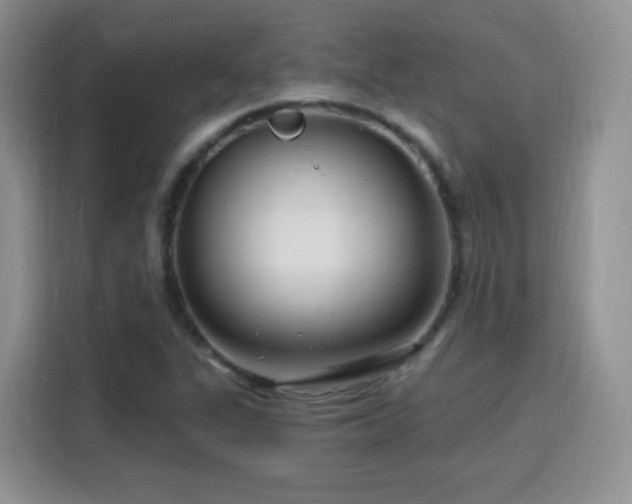 X0000115811311200911201410