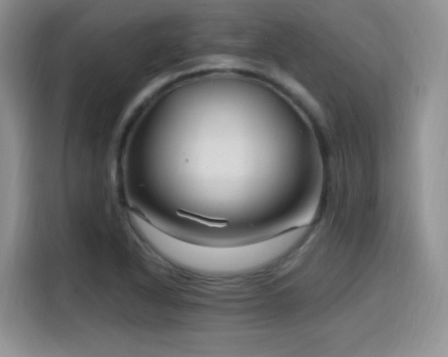 X0000115811318200911201410