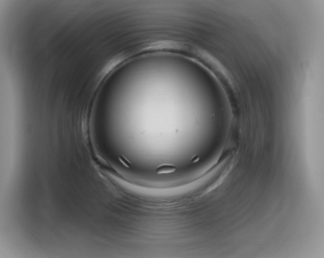 X0000115811321200911201410