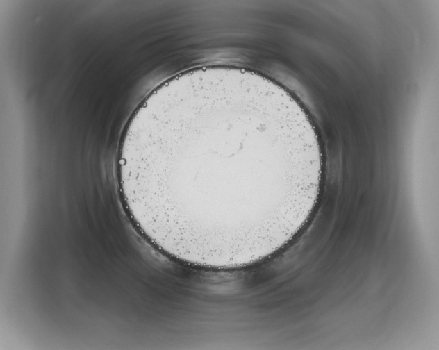X0000115811338200911201410