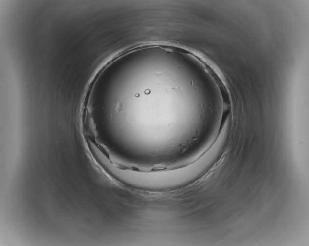 X0000115811341200911201410
