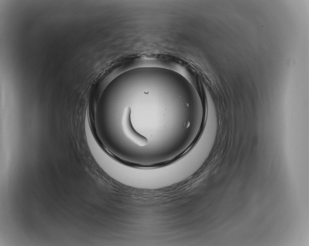 X0000115811348200911201410