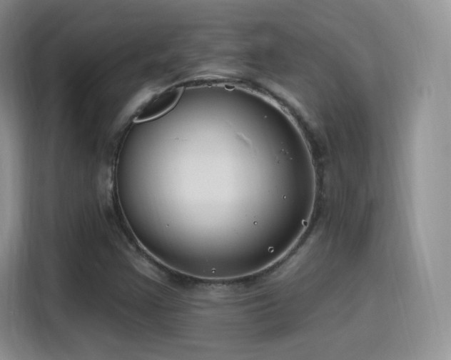 X0000115811355200911201410