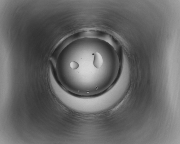 X0000115811361200911201410