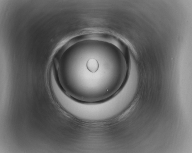 X0000115811365200911201410