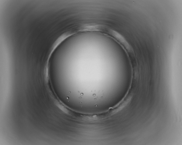 X0000115811370200911201410