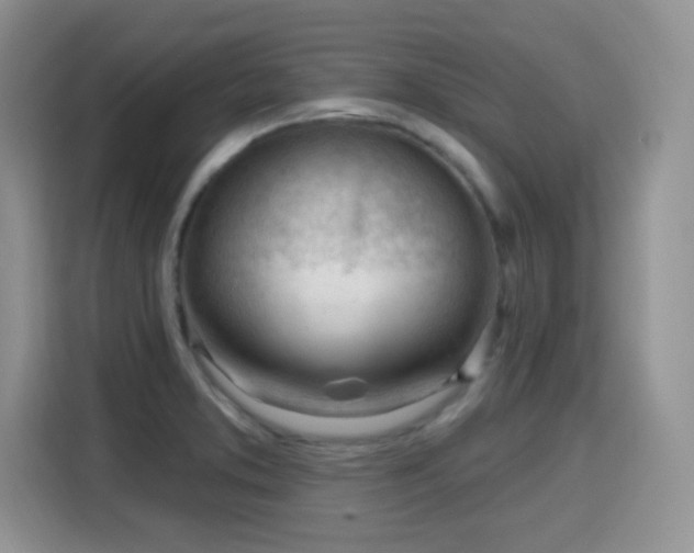 X0000115811373200911201410
