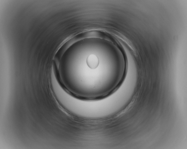 X0000115811377200911201409