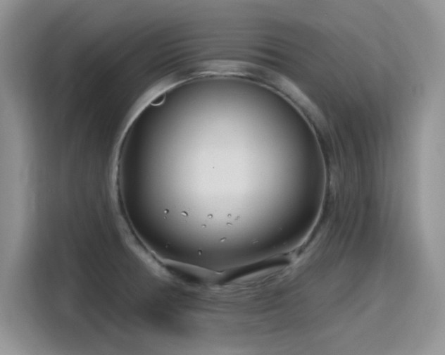 X0000115811378200911201409