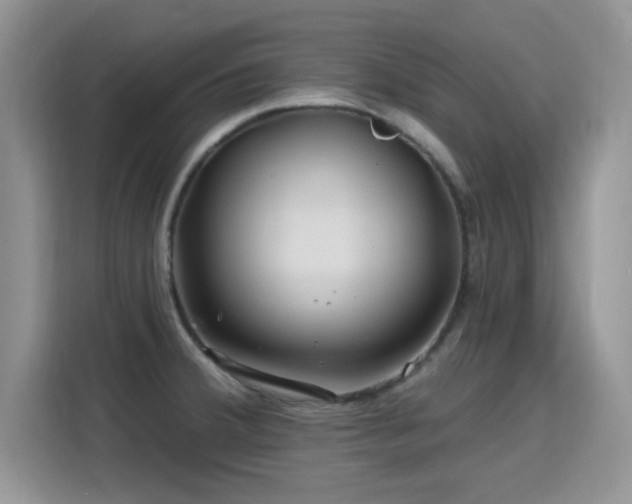 X0000115811380200911201409