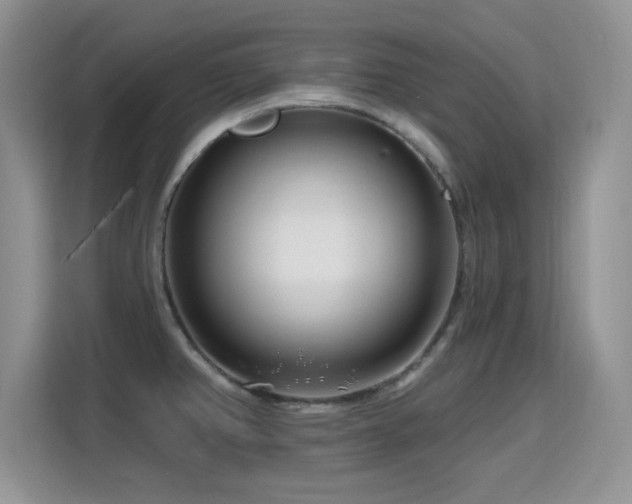 X0000115811382200911201409