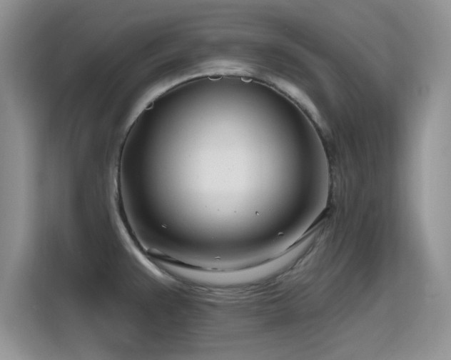 X0000115811383200911201409