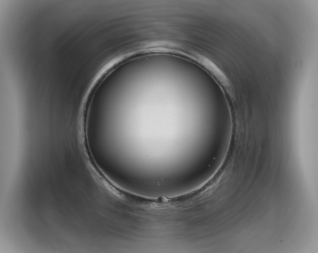 X0000115811384200911201409