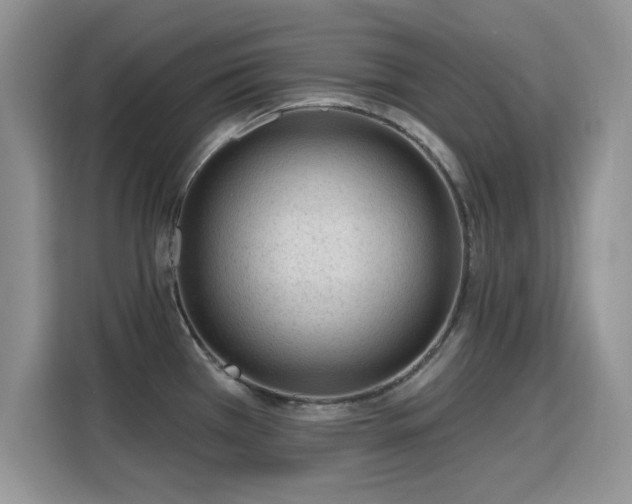 X0000115811385200911201409