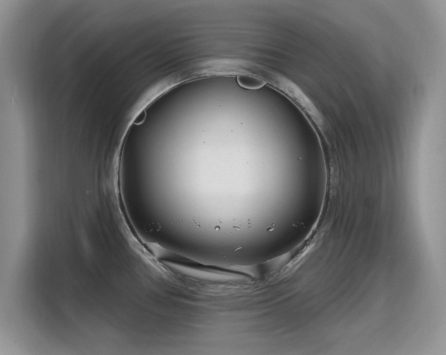 X0000115811386200911201409