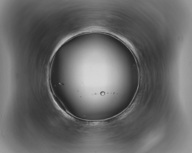 X0000115811390200911201409