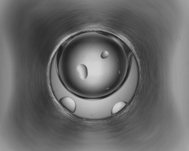 X0000115811392200911201409