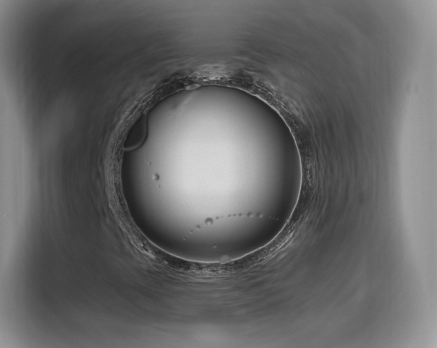 X0000115811393200911201409