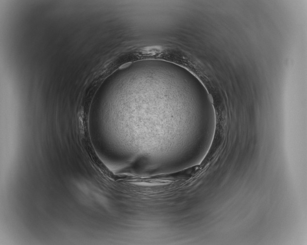 X0000115811394200911201409