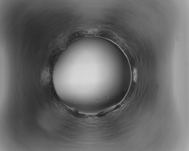 X0000115811395200911201409