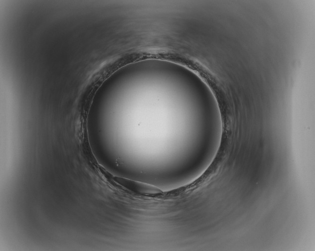 X0000115811398200911201409