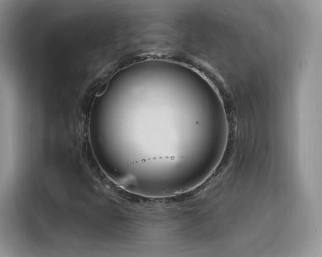 X0000115811399200911201409