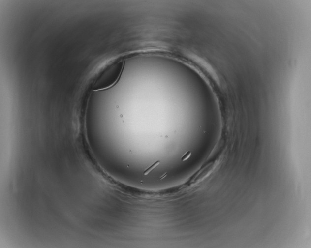 X0000115811407200911201409
