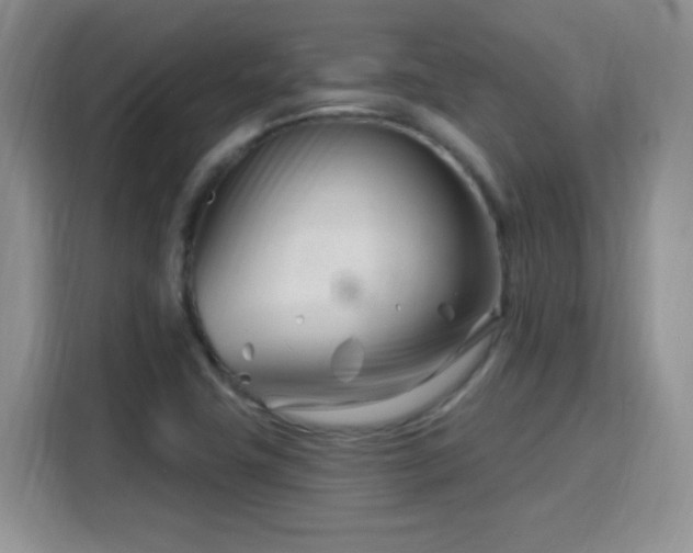 X0000115811411200911201409