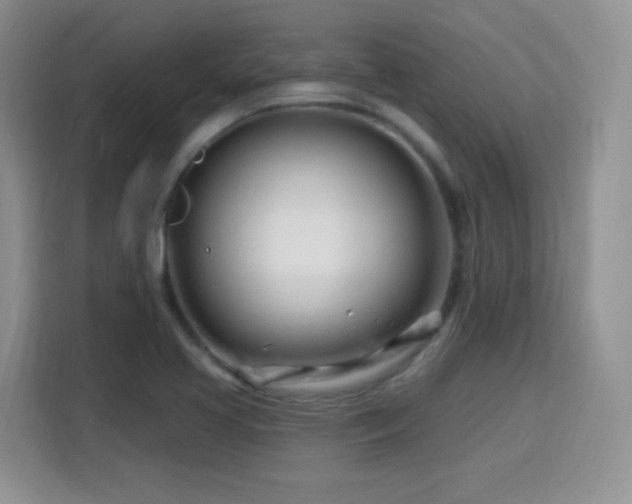 X0000115811413200911201409