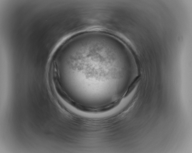X0000115811414200911201409