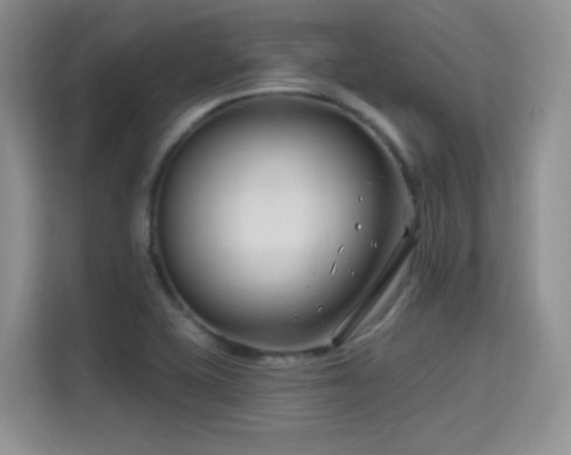 X0000115811415200911201409