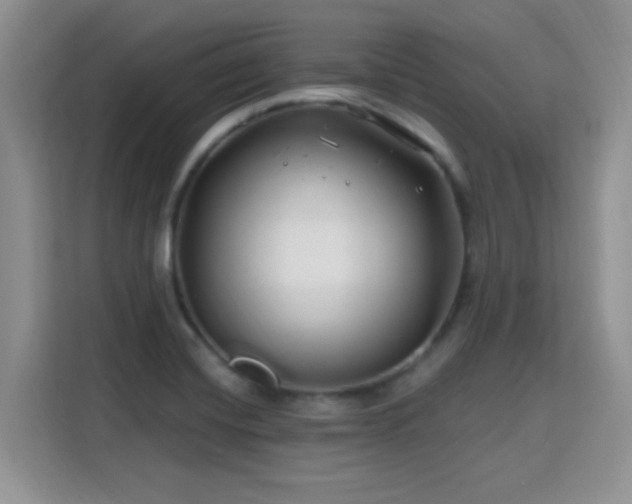 X0000115811420200911201409