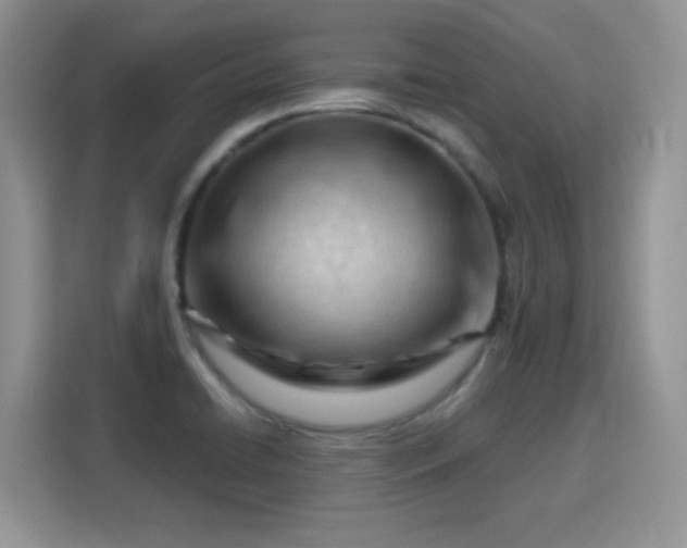 X0000115811422200911201409