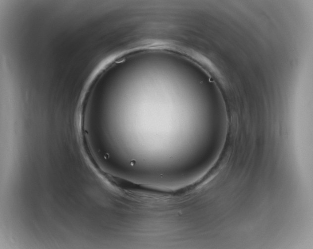 X0000115811424200911201409